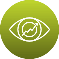Our Vision icon
